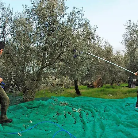 Borgo Dell'aschetto Séjour à la ferme Marina di Cerveteri